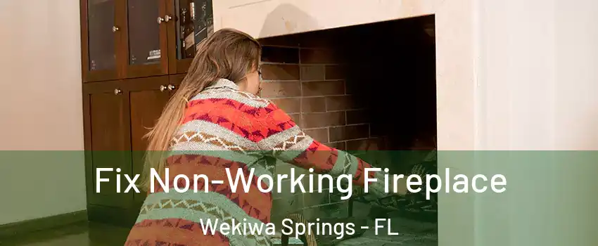  Fix Non-Working Fireplace Wekiwa Springs - FL