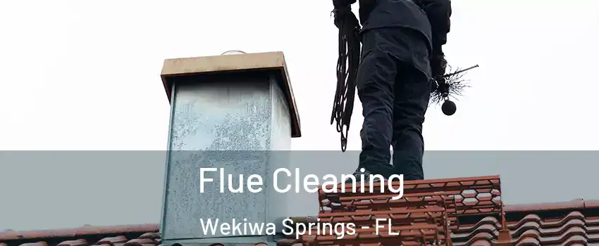  Flue Cleaning Wekiwa Springs - FL
