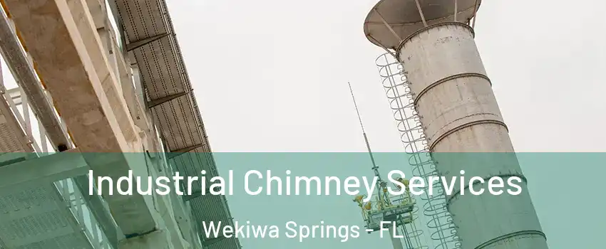  Industrial Chimney Services Wekiwa Springs - FL