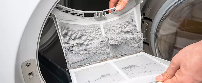 Best Dryer Lint Removal Company in Wekiwa Springs, Florida