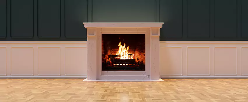 Napoleon Electric Fireplaces Inspection Service in Wekiwa Springs, Florida