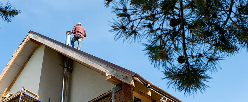 Birds Removal Contractors from Chimney in Wekiwa Springs, FL