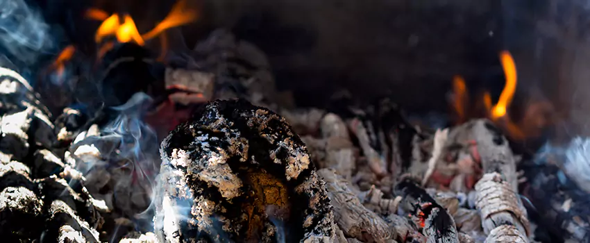 Creosote Removal Experts in Wekiwa Springs, FL