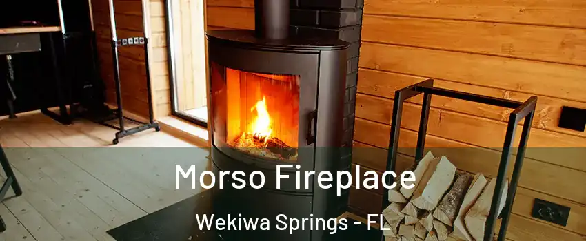  Morso Fireplace Wekiwa Springs - FL