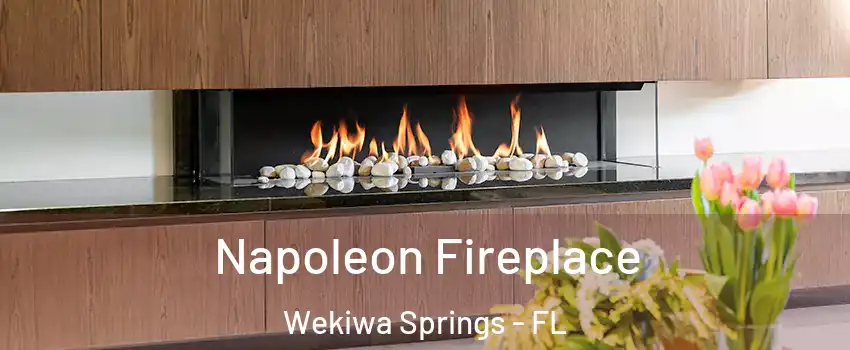  Napoleon Fireplace Wekiwa Springs - FL
