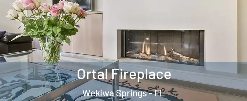 Ortal Fireplace Wekiwa Springs - FL