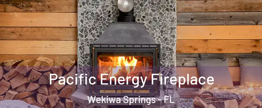  Pacific Energy Fireplace Wekiwa Springs - FL