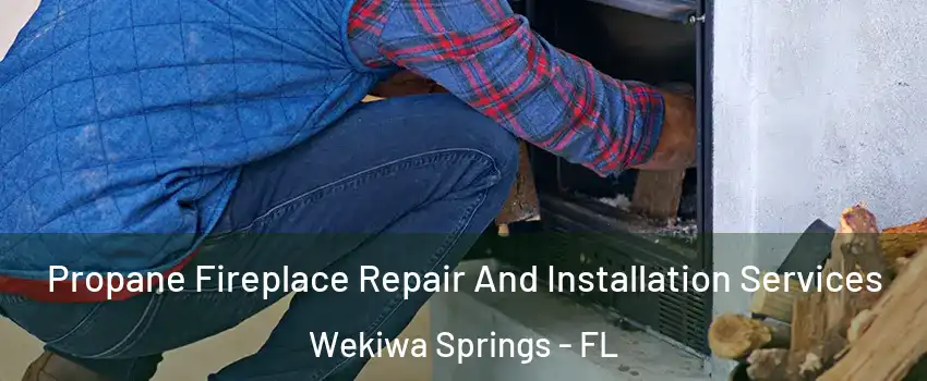  Propane Fireplace Repair And Installation Services Wekiwa Springs - FL