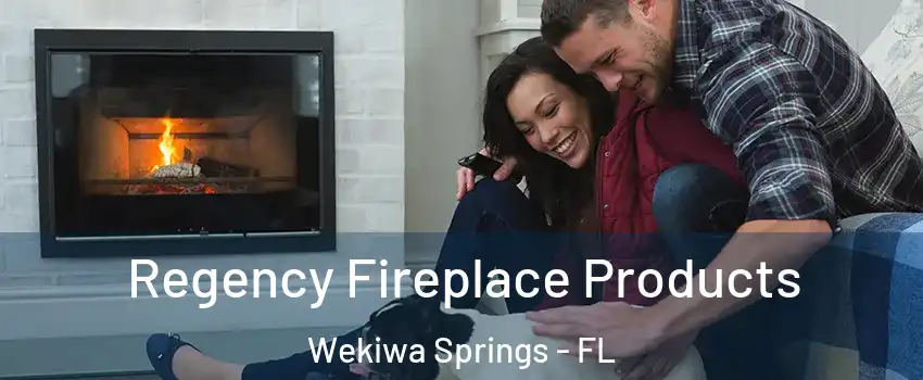  Regency Fireplace Products Wekiwa Springs - FL