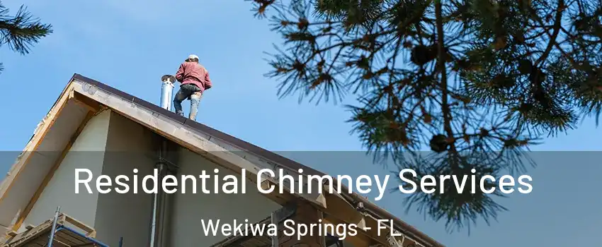  Residential Chimney Services Wekiwa Springs - FL