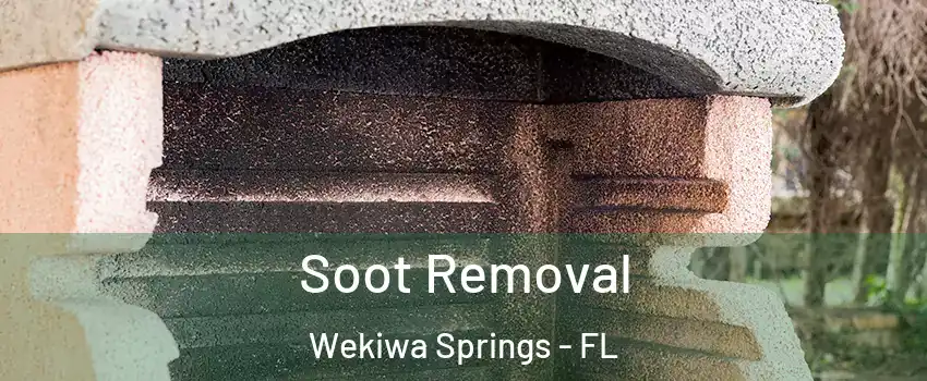  Soot Removal Wekiwa Springs - FL
