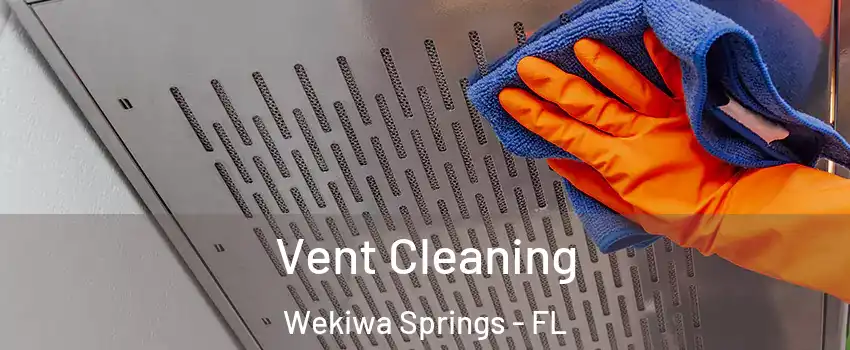  Vent Cleaning Wekiwa Springs - FL