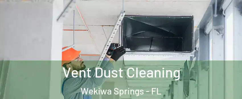  Vent Dust Cleaning Wekiwa Springs - FL