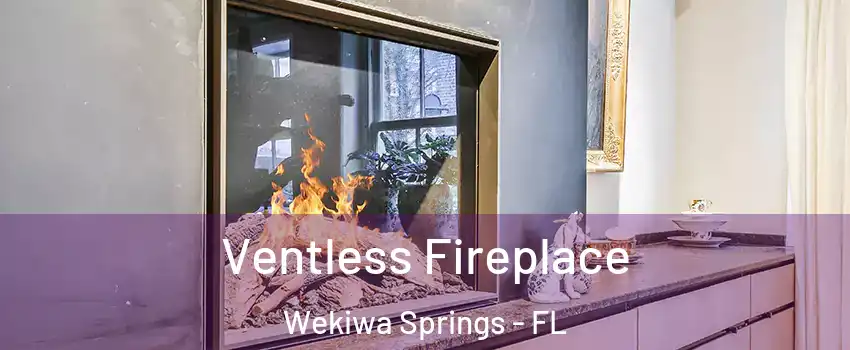  Ventless Fireplace Wekiwa Springs - FL