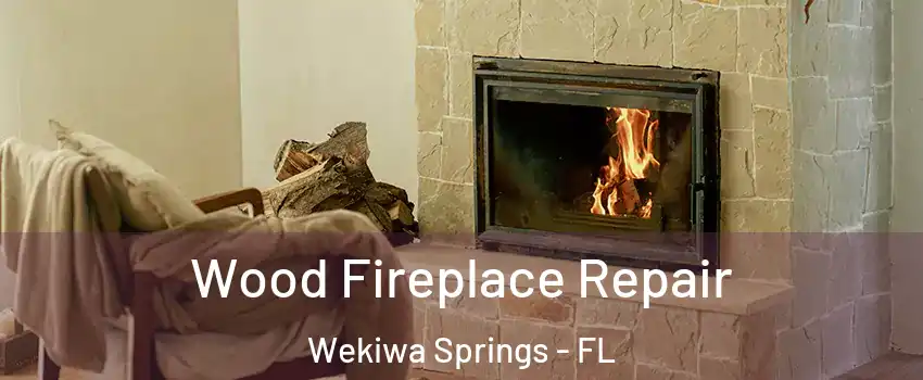  Wood Fireplace Repair Wekiwa Springs - FL