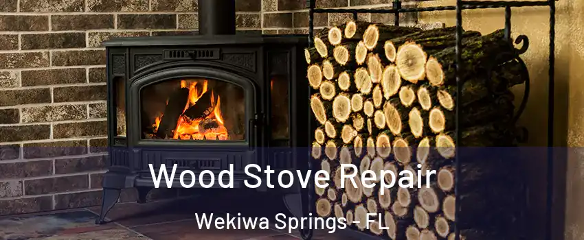  Wood Stove Repair Wekiwa Springs - FL